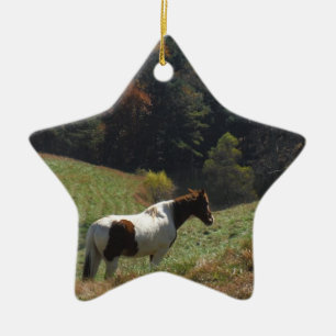 Brown and white horse at autumn pond ceramic tree decoration