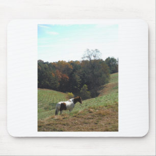 Brown and white horse at autumn pond mouse mat