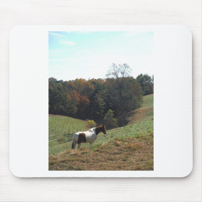 Brown and white horse at autumn pond mouse mat (Front)