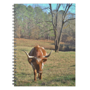 Brown and White Longhorn Bull Blue Sky Notebook
