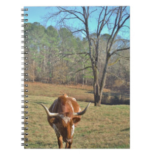 Brown and White Longhorn Bull Blue Sky Notebook