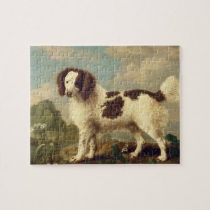 Brown and White Norfolk or Water Spaniel, 1778 (oi Jigsaw Puzzle