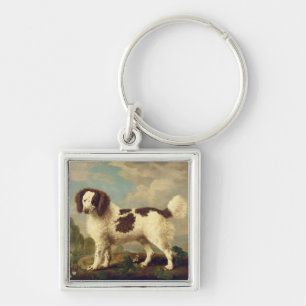Brown and White Norfolk or Water Spaniel, 1778 (oi Key Ring