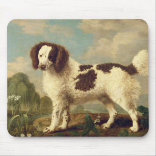 Brown and White Norfolk or Water Spaniel, 1778 (oi Mouse Mat