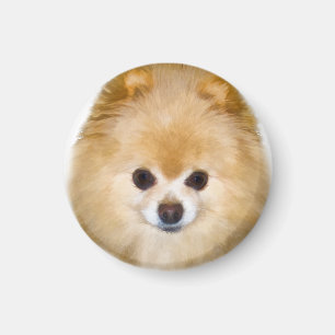 Brown and White Pomeranian Dog Magnet