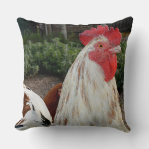 Brown And White Proud Rooster, Big Throw Cushion. Cushion