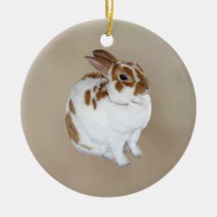 Brown and White Rex Rabbit Ceramic Tree Decoration