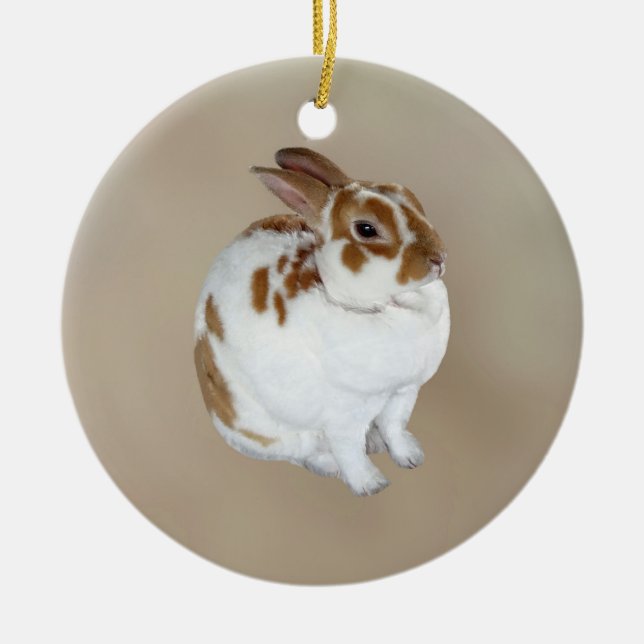 Brown and White Rex Rabbit Ceramic Tree Decoration (Front)