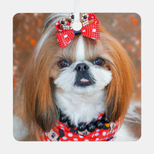 Brown and White Shih Tzu Puppy Dog Metal Tree Decoration