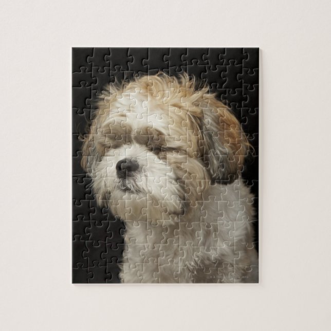 Brown and white Shih Tzu with eyes closed Jigsaw Puzzle (Vertical)