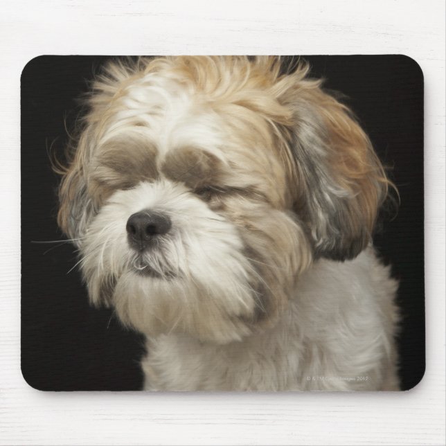 Brown and white Shih Tzu with eyes closed Mouse Mat (Front)