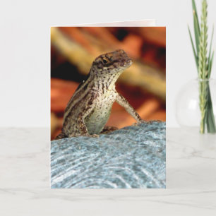 Brown Anole (Lizard) Greeting Card