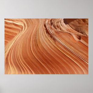 Brown antelope poster