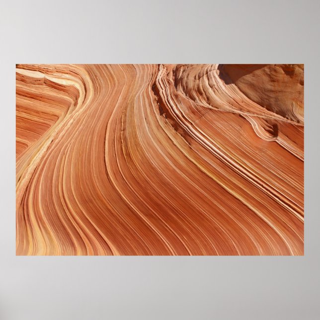 Brown antelope poster (Front)