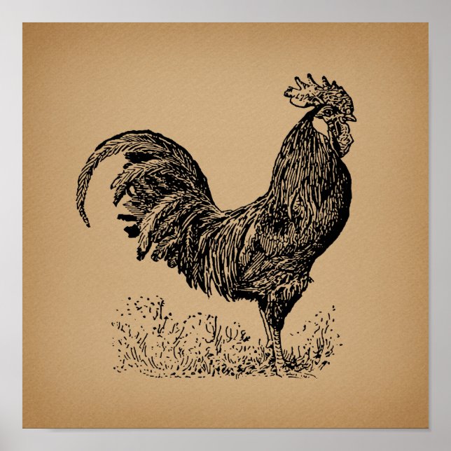 Brown Antique Rooster Illustration Chicken Art Poster (Front)
