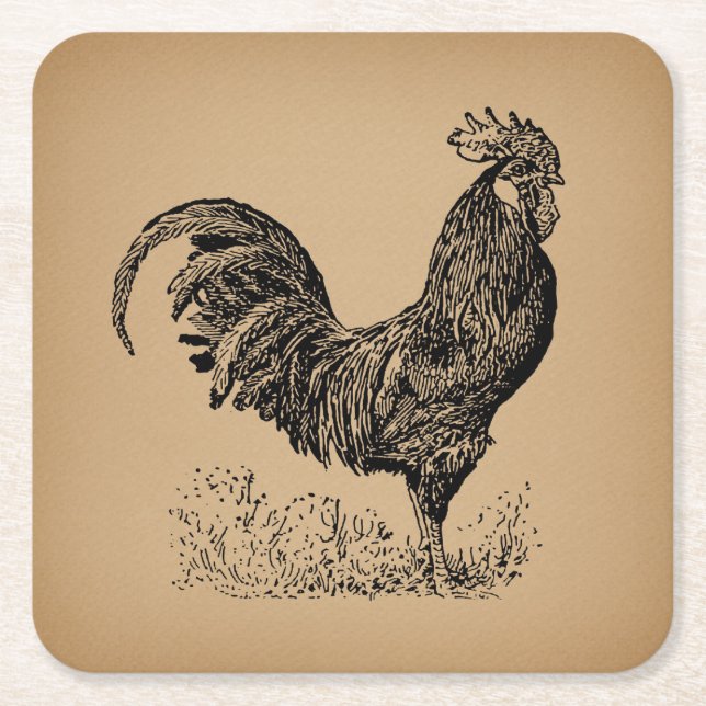 Brown Antique Rooster Illustration Chicken Art Square Paper Coaster (Front)