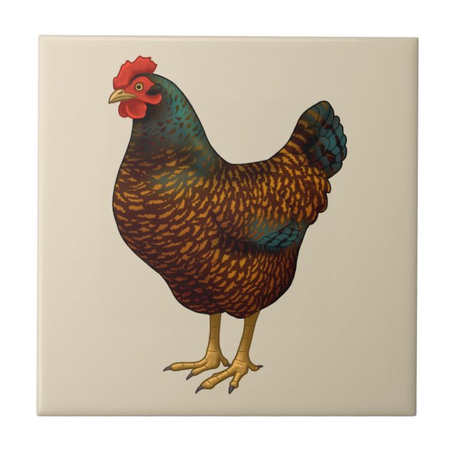 Brown Barnevelder Hen Chicken Tile (Front)