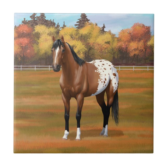 Brown Bay Appaloosa Horse in Autumn Pasture Tile (Front)