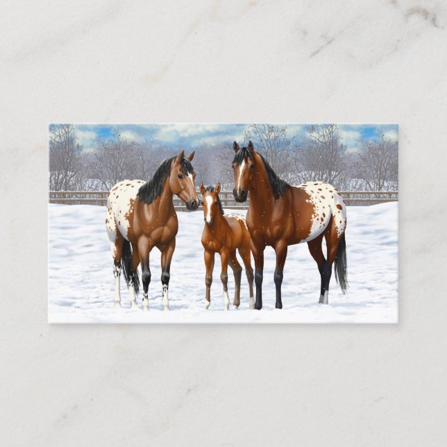 Brown Bay Appaloosa Horses In Snow Business Card (Front)