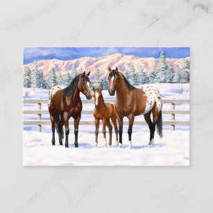 Brown Bay Appaloosa Horses In Snow Business Card