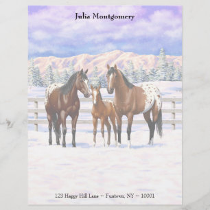 Brown Bay Appaloosa Horses In Snow Custom Letterhead