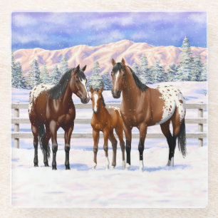Brown Bay Appaloosa Horses In Snow Glass Coaster