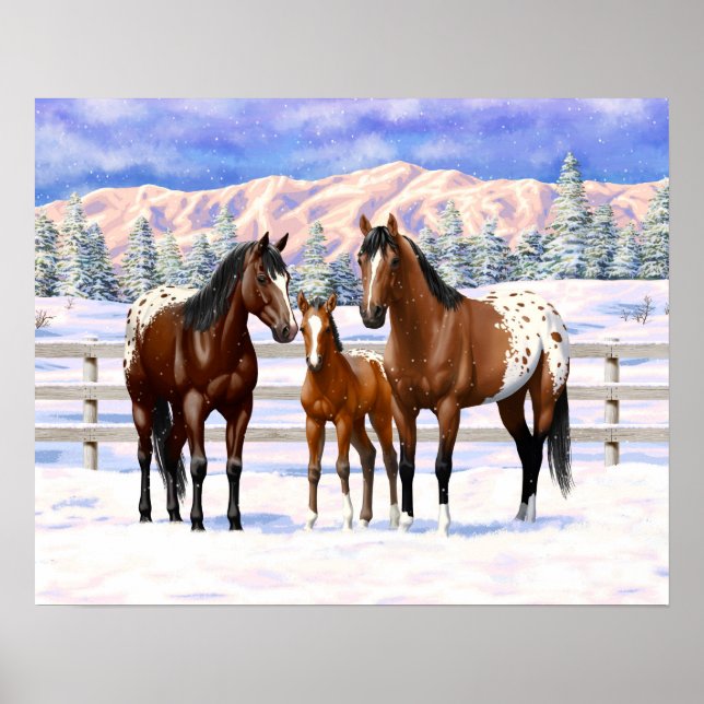 Brown Bay Appaloosa Horses In Snow Poster (Front)