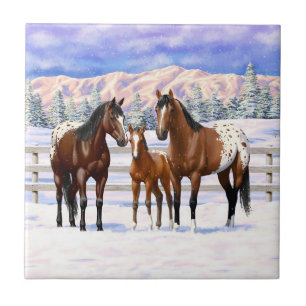 Brown Bay Appaloosa Horses In Snow Tile