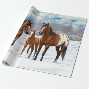 Brown Bay Appaloosa Horses In Snow Wrapping Paper