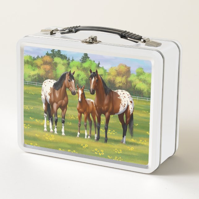 Brown Bay Appaloosa Horses In Summer Pasture Metal Lunch Box (Front)