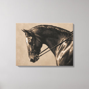 Brown Bay Oldenburg Horse Portrait Sepia Canvas Print