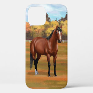 Brown Bay Quarter Horse Stallion iPhone 12 Case