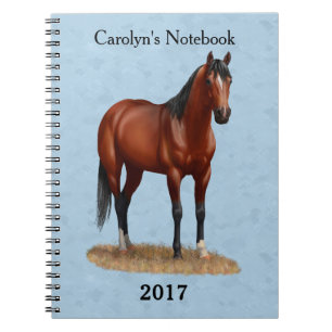 Brown Bay Quarter Horse Stallion Notebook