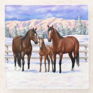 Brown Bay Quarter Horses In Snow Glass Coaster