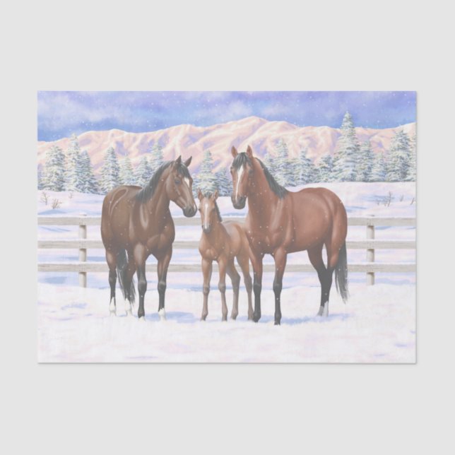 Brown Bay Quarter Horses In Snow Tissue Paper (Front)