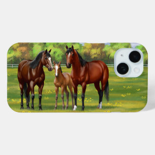 Brown Bay Quarter Horses In Summer Pasture iPhone 15 Case