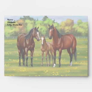 Brown Bay Quarter Horses In Summer Pasture Envelope