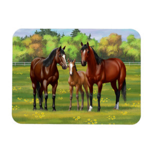 Brown Bay Quarter Horses In Summer Pasture Magnet