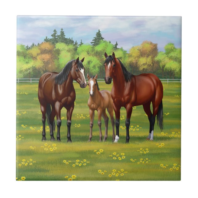 Brown Bay Quarter Horses In Summer Pasture Tile (Front)