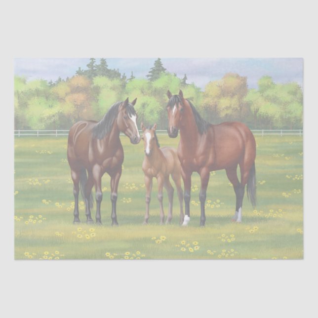 Brown Bay Quarter Horses In Summer Pasture Tissue Paper (Front)
