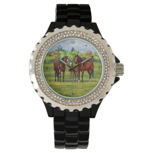Brown Bay Quarter Horses In Summer Pasture Watch (Front)
