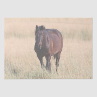 Brown Bay Wild Mustang Horse Tissue Paper