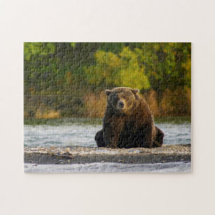 Brown Bear Alaska. Jigsaw Puzzle