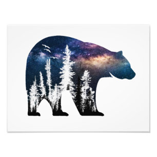 Brown Bear Animal Wild Forest Jungle Nature World Photo Print