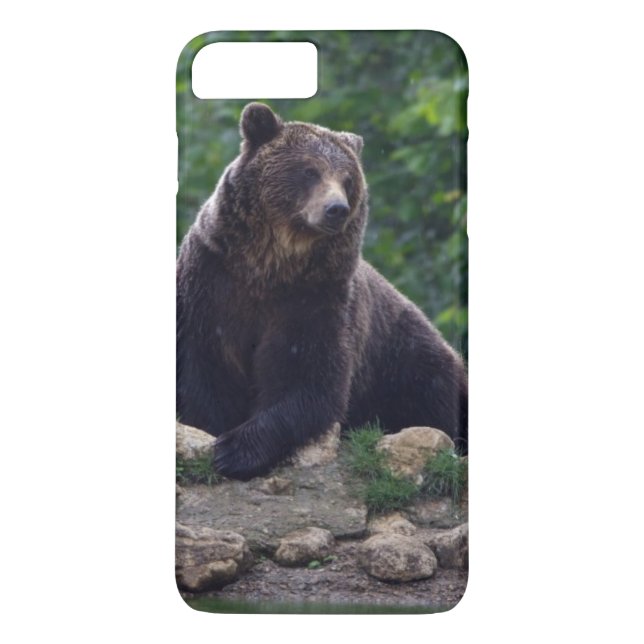 Brown bear Case-Mate iPhone case (Back)