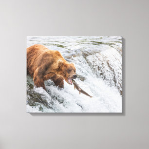 Brown Bear Catches Red Salmon Canvas Print