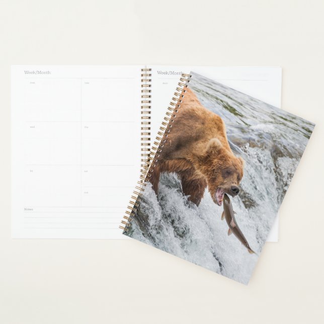 Brown Bear Catches Red Salmon Planner (Display)