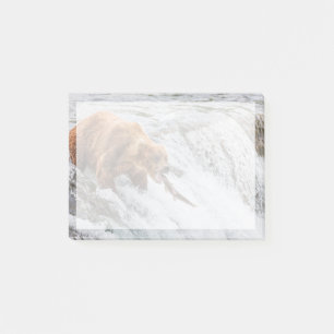 Brown Bear Catches Red Salmon Post-it Notes
