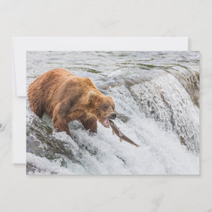 Brown Bear Catches Red Salmon Thank You Card