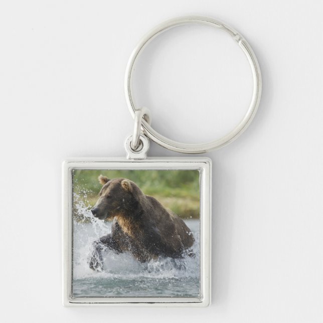 Brown Bear chasing salmon in river Key Ring (Front)